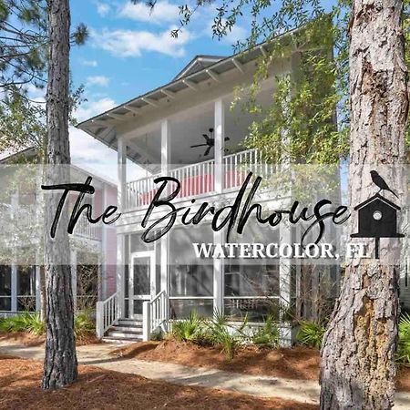 The Birdhouse In Luxury Watercolor Brand New 6 Seat Golf Cart Villa Santa Rosa Beach Exteriör bild